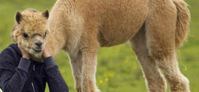 O şedinţă gratuită