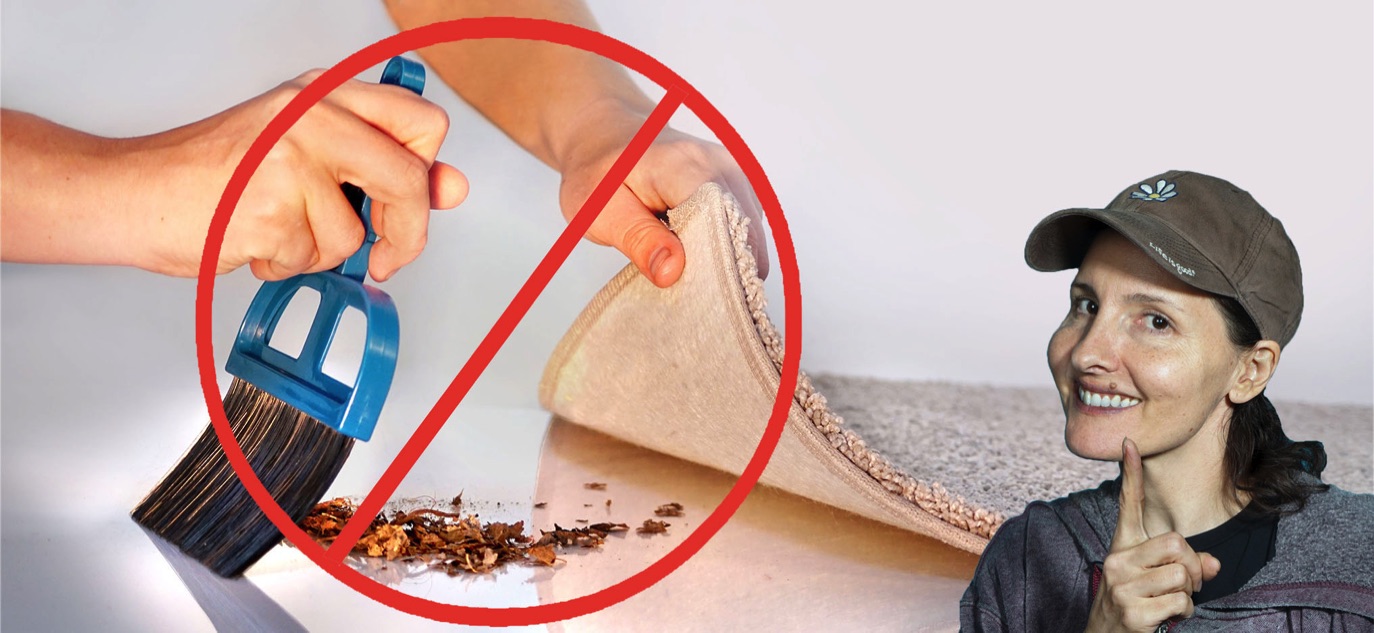 Să ascunzi gunoiul sub covor