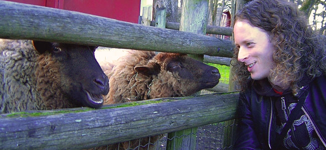 Programarea socială