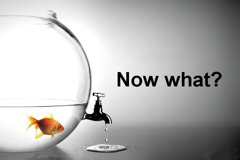 Acceptarea realității